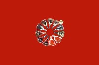 光明回收红酒